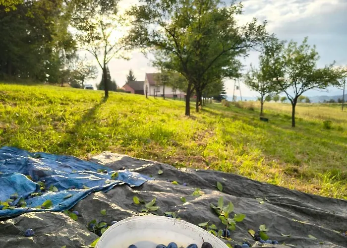 Alloggio per agriturismo 